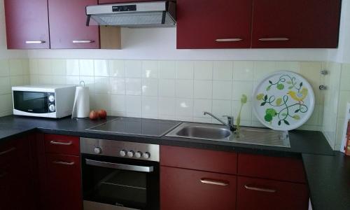 Η κουζίνα ή μικρή κουζίνα στο Ferienwohnung Harzluchs mit Balkon & Sauna im Haus