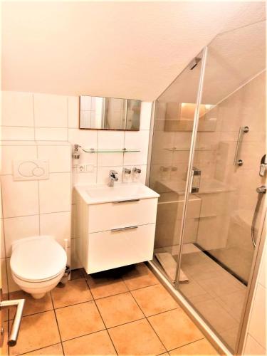 a bathroom with a toilet and a shower and a sink at Appartement-Haus Blumenhof in Bad Griesbach