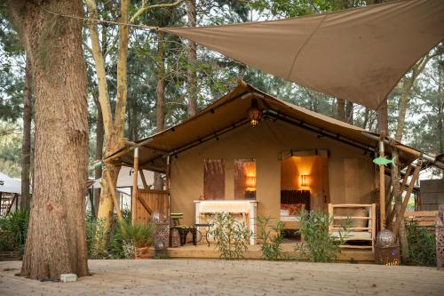 a small tent in the woods with a tree at Dunas Luxury Beach Resort Tarifa in Tarifa