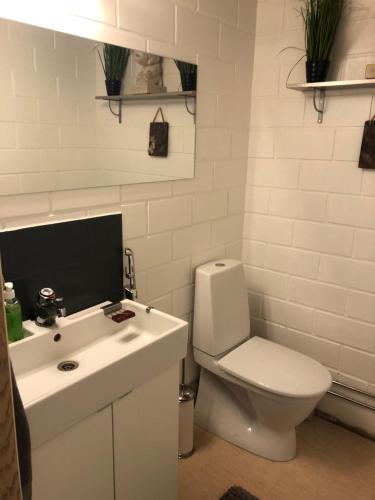 a white bathroom with a toilet and a sink at Papula-huoneisto 