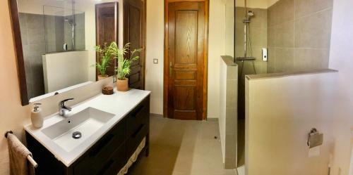 a bathroom with a sink and a mirror and a shower at Casa de muntanya Can Coll de Susqueda Girona in Susqueda