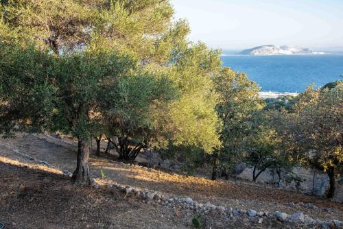 Φυσικό τοπίο κοντά σε αυτό το διαμέρισμα
