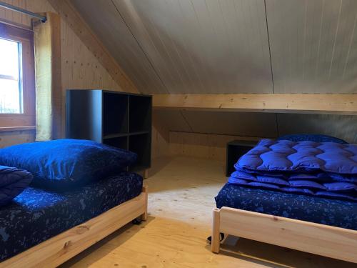 een kamer met 2 bedden in een hut bij lodge de Uitwijk in De Heen