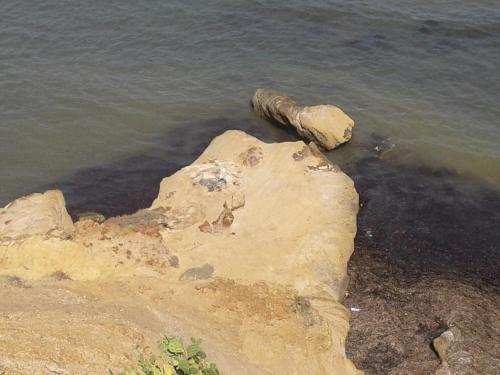 a log in the water next to some rocks at Duplex pied dans l'eau avec magnifique vue sur mer in Monastir