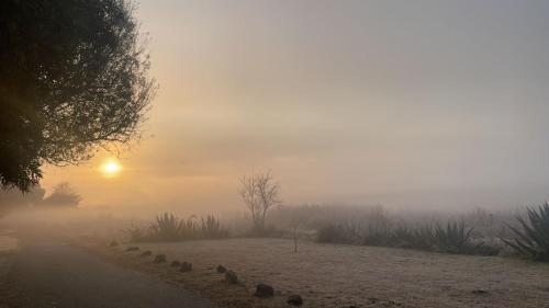 a foggy road with the sun rising in the background at Sable Sunset Guesthouse in Trichardt