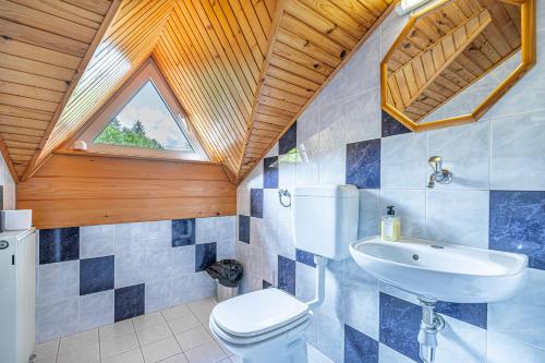 baño con aseo y lavabo y ventana en House Mavko Near Lake Cerknica, en Grahovo