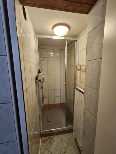 a shower with a glass door in a bathroom at Ruška koča in Hočko Pohorje