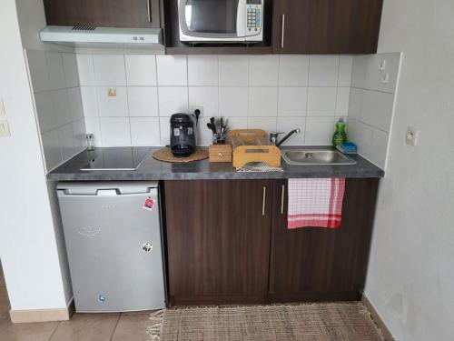 a small kitchen with a sink and a microwave at Disney Paris Appartement in Montévrain