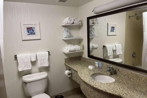 a bathroom with a toilet and a sink and a mirror at Wingate by Wyndham St Louis Airport in Saint Ann