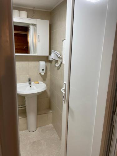 een badkamer met een wastafel, een toilet en een spiegel bij Zabljak studio apartment 2 in Žabljak