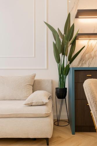 a living room with a couch and a potted plant at GENeve - old town apartment Bratislava in Bratislava