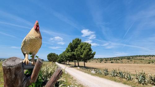 Ảnh trong thư viện ảnh của Masseria Milu' ở Siponto