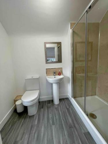 a bathroom with a toilet and a sink and a shower at The Farmhouse at Moss Bank Farm in Wrexham