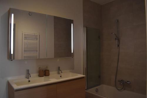 een badkamer met een wastafel, een douche en een spiegel bij Stijlvol appartement in trendy wijk Oostende in Oostende