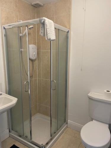 a bathroom with a shower with a toilet and a sink at 360 Wolfe Stay in Dungarvan