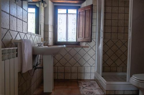 baño con lavabo, ventana y aseo en Agriturismo Colli di Travale, en Montieri