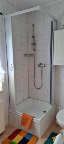 a shower stall in a bathroom with a sink at Lindow Rügen in Putbus