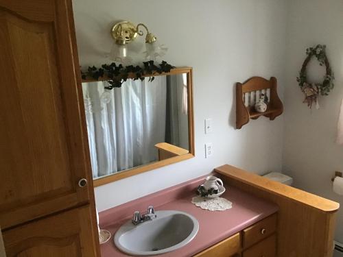 a bathroom with a sink and a mirror at Guest Suites at Willowgreen Farm in Summerside