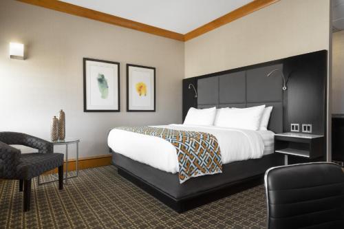 a hotel room with a large bed and a chair at voco The Tiger Hotel, Columbia, MO by IHG in Columbia