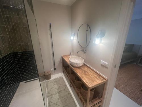 La salle de bains est pourvue d'un lavabo et d'une douche. dans l'établissement B&B Lekkerkerk, à Lekkerkerk