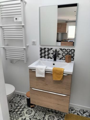 a bathroom with a sink and a toilet at Studio - Au fond de la cour in Lacroix-Saint-Ouen