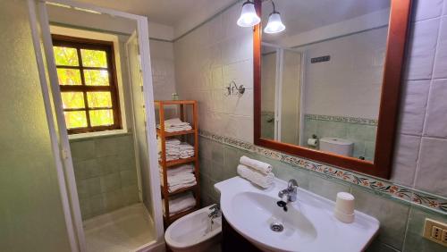 a bathroom with a sink and a toilet and a mirror at El Jócamo in Puntagorda