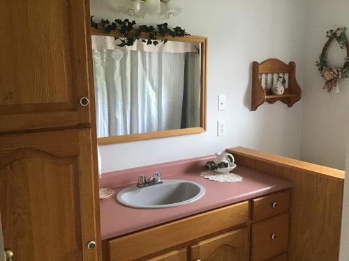 a bathroom with a sink and a mirror at Guest Suites at Willowgreen Farm in Summerside