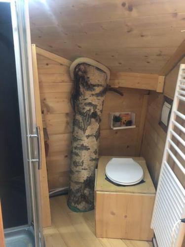 - une petite salle de bains avec toilettes dans une cabine dans l'établissement Nuit insolite - La cabane du Haut-Doubs, à Les Gras