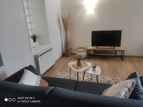 sala de estar con sofá y TV en Appartement cosy au coeur d'Auvers-Sur-Oise, en Auvers-sur-Oise
