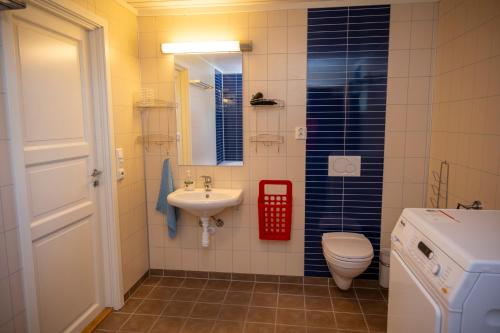 a small bathroom with a sink and a toilet at Arctic Panorama House in Lødingen