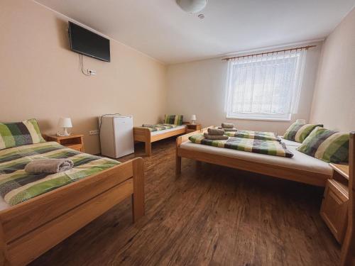 Habitación con 2 camas y nevera. en Penzion Vinařský dům PÁLAVA, en Strachotín