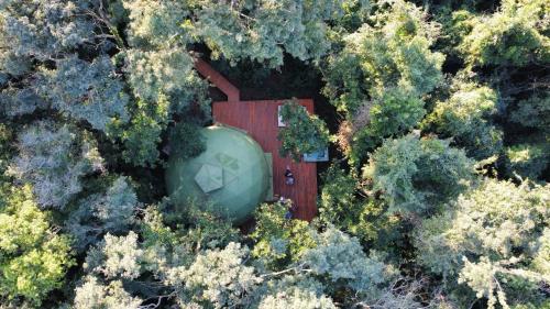 an aerial view of a silo in a forest of trees at Momora distrito selva in Santa Ana