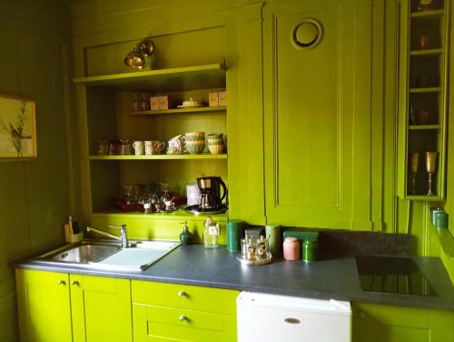 a kitchen with lime green cabinets and a sink at A Vol D'Oiseau in Honfleur