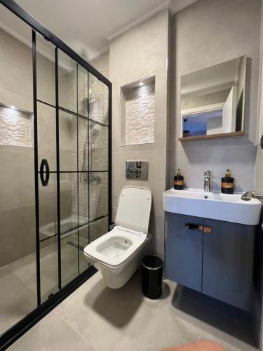 a bathroom with a toilet and a sink and a shower at Marina Beach Suites - Yalikavak in Bodrum City