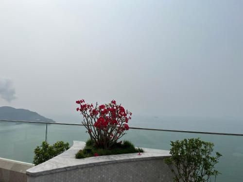 a flower planter on a wall overlooking the water at TMS Luxury Hotel in Quy Nhon