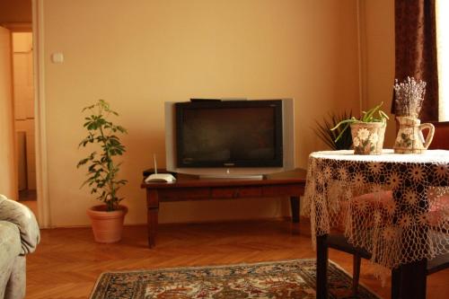 考洛喬的住宿－Mozaik Apartman，客厅配有电视和带桌子的桌子。