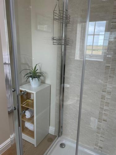 a bathroom with a shower with a plant on a shelf at Frongaer Bed And Breakfast in Llanerchymedd