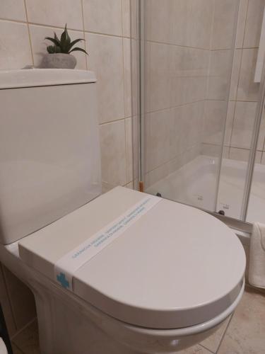 a white toilet in a bathroom with a shower at LA CASA GRADSKI VRT modern family apartment with lockable bike storage in Osijek