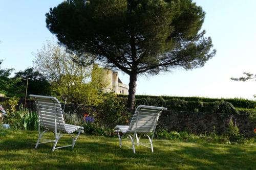 two chairs sitting in the grass next to a tree at Gîte Léperon 2 in Clisson
