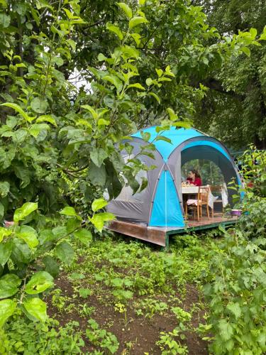 a tent with a table and chairs in a forest at Tereza glamping in Sanain