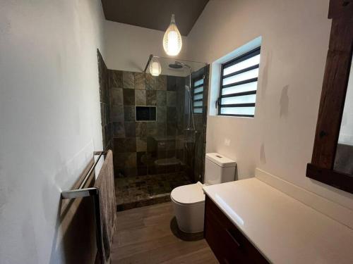 a bathroom with a shower and a toilet and a sink at Tropical 3-bedrooms Coastal Residence Creolia2 in Pointe aux Cannoniers