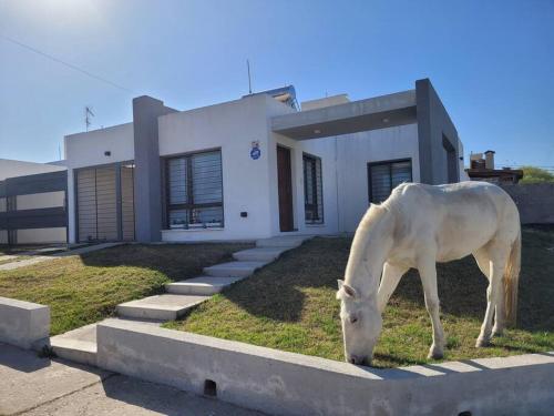 ein weißes Pferd, das vor einem Haus weidet in der Unterkunft Casa Amplia y Tranquila con Garage in Alta Gracia