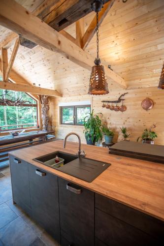 Dapur atau dapur kecil di Chalet : le moulin du sagard