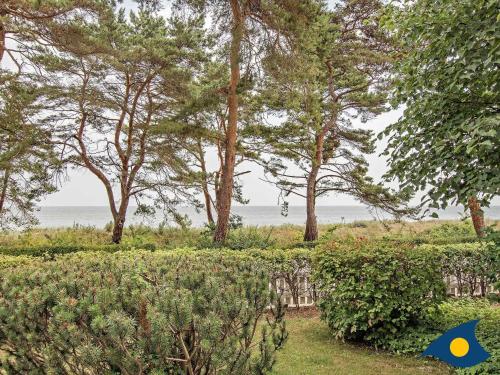 a view of the ocean through the trees at Villa Strandperle Whg 21 in Bansin