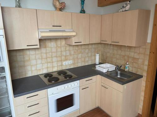 a kitchen with a sink and a stove top oven at Müllerstube in Neudorf bei Staatz