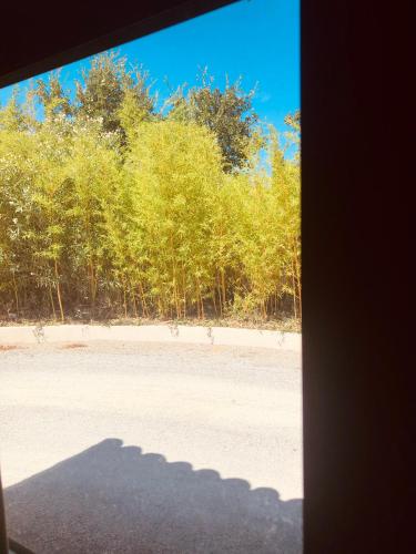 Villa Alba – Photos 3