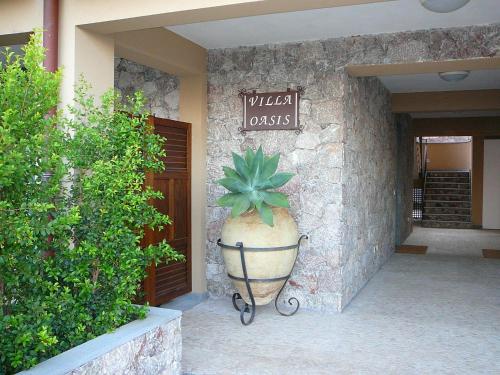 eine Anlage in einem großen Topf vor einem Gebäude in der Unterkunft Studio in Villa Oasis Residence in Taormina in Mazzeo