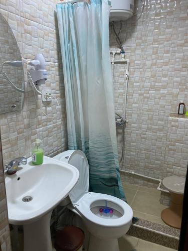 La salle de bains est pourvue de toilettes, d'un lavabo et d'une douche. dans l'établissement Lovely Goris, à Goris
