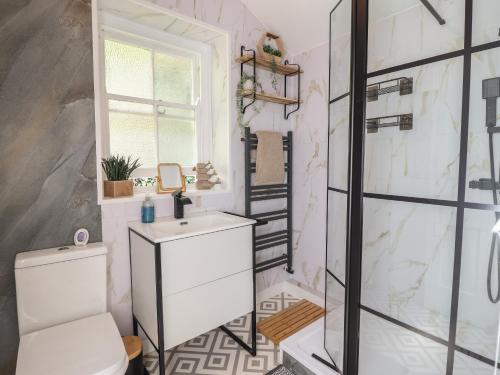 a bathroom with a toilet and a sink and a shower at Windycroft in Barmouth