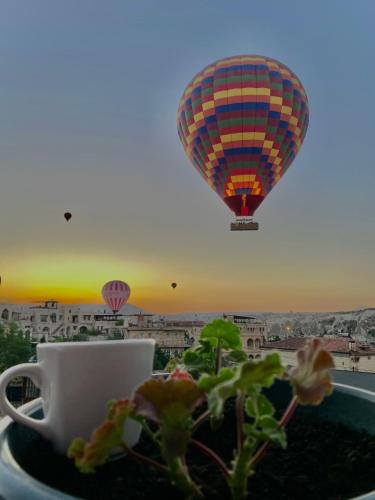 una tazza di caffè e una pianta con una mongolfiera di Pashahan Hotel a Göreme